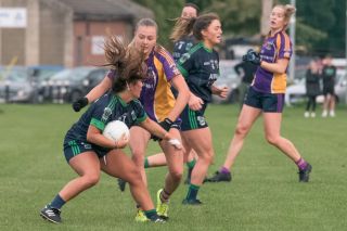Ladies Football Go-Ahead Senior Championship Group A   Kilmacud Crokes Versus Fox cab 
