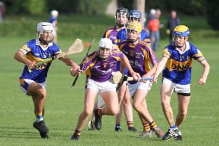 U16 A's beat Castleknock in Championship