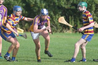 Minor E Hurling round 3 Championship