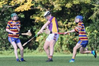 Minor E Hurling round 3 Championship