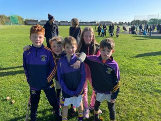 Crokes on Tour - U8s (2013) March on the Marble City