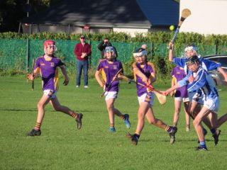 U14 A Hurlers -  Championship Final