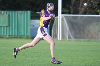 Junior B Hurlers win relegation match