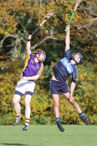 Junior B Hurlers win relegation match