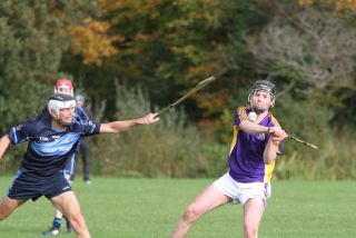 Junior B Hurlers win relegation match