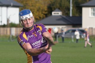 Minor E Hurlers Championship Semi Final