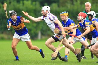 Senior B Hurlers unsuccessful in County Final