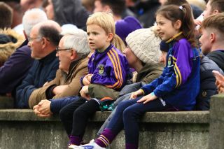 Senior B Hurlers unsuccessful in County Final