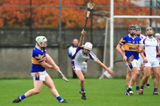 Senior B Hurlers unsuccessful in County Final