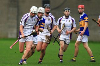 Senior B Hurlers unsuccessful in County Final