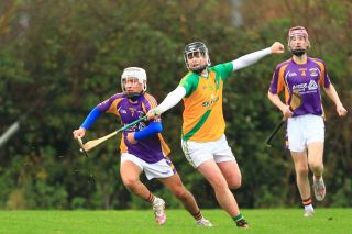 Kilmacud Crokes U16A Hurlers County Champions 2021