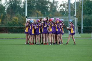 TEAM SPOTLIGHT - 2008 Under 14 Camogie