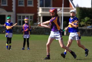 U12 Hurling Grp. 3 vs Castleknock