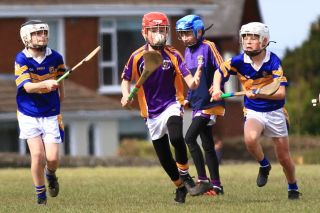 U12 Hurling Grp. 3 vs Castleknock