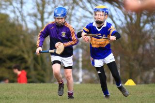 U12 Hurling Grp. 3 vs Castleknock