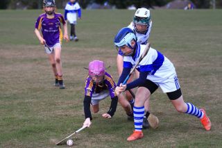 U12 Hurling A Grading Gp.1 vs St Vincents