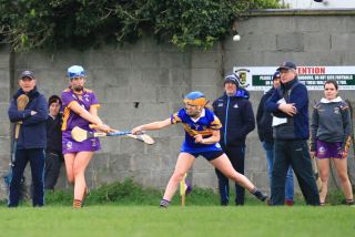 Camogie Seniors vs Castleknock