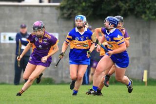 Camogie Seniors vs Castleknock