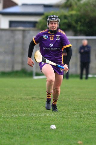 Camogie Seniors vs Castleknock