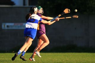 Senior Camogie Team vs St Vincents