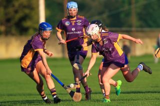 Senior Camogie Team vs St Vincents