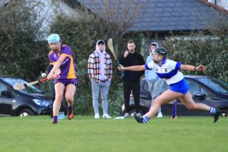 Senior Camogie Team vs St Vincents
