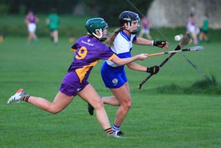Senior Camogie Team vs St Vincents