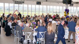 again! Hurling Section's Punchestown Raceday returns