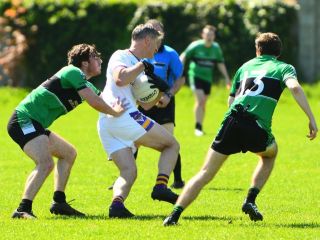 Go Ahead Adult Football League Division Eight  Kilmacud Crokes V St Patricks