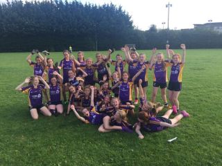 Spotlight on the Minor B Ladies Football Team 2022
