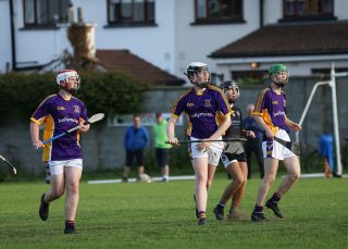 Under 17 Hurling League Division Four North   Kilmacud Crokes V  St.Peregrins