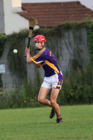 Under 17 Hurling League Division Four North   Kilmacud Crokes V  St.Peregrins