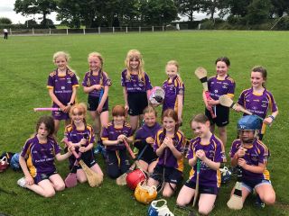 U9 and U13 Camogie Trip to Wexford 2022