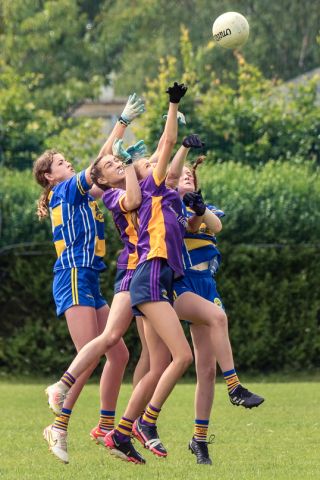 Division 1 Ladies Football Feile Finals Silverpark Saturday July 2nd