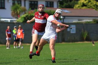 Great day at the Beacon Hospital Hurling 7s