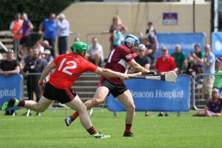 Great day at the Beacon Hospital Hurling 7s
