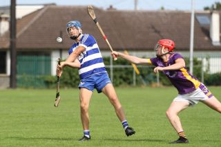 Crokes Team perform well at the Beacon Hospital Hurling  7s