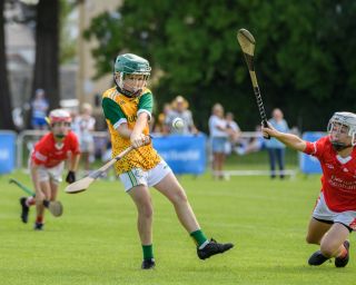  Beacon Hospital Hurling 7s - U12 Final