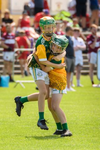 Beacon Hospital Hurling 7s - U12 Final