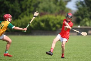  Beacon Hospital Hurling 7s - U12 Final