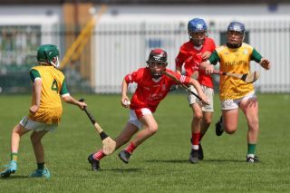  Beacon Hospital Hurling 7s - U12 Final