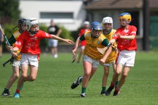  Beacon Hospital Hurling 7s - U12 Final