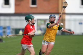  Beacon Hospital Hurling 7s - U12 Final