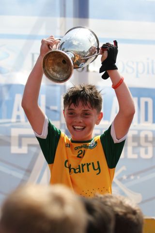  Beacon Hospital Hurling 7s - U12 Final
