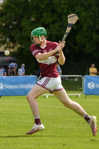 Lisdowney win Cup final in Beacon Hospital Hurling 7s