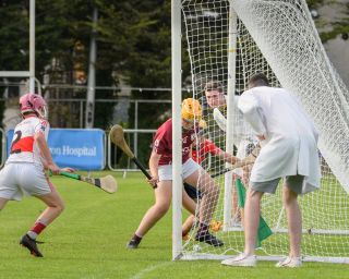 Lisdowney win Cup final in Beacon Hospital Hurling 7s