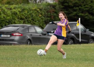 Kilmacud Crokes  Beacon Hospital Ladies Football 7's  Saturday July 23rd