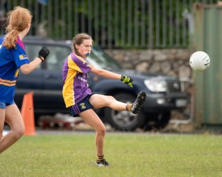 Kilmacud Crokes  Beacon Hospital Ladies Football 7's  Saturday July 23rd