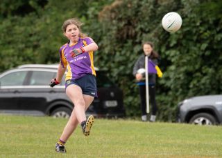 Kilmacud Crokes  Beacon Hospital Ladies Football 7's  Saturday July 23rd
