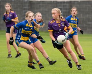 Kilmacud Crokes  Beacon Hospital Ladies Football 7's  Saturday July 23rd
